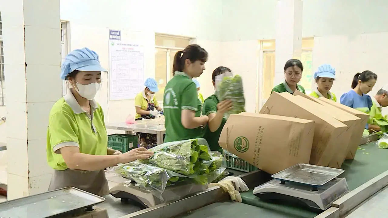 Chuyển đổi số | Chuyện ở ngoại thành | 02/10/2025